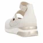 D2411-81-125-c0 (1)